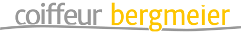 bergmeier logo